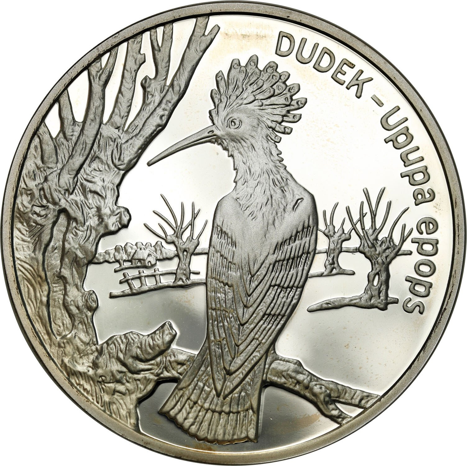III RP. 20 złotych 2000 Dudek - RZADSZE