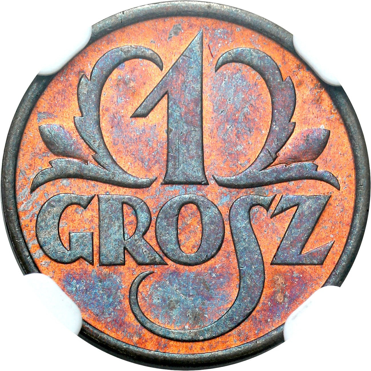 II RP. 1 grosz 1935 NGC MS66 RB PL (MAX) – JAK LUSTRZANKA
