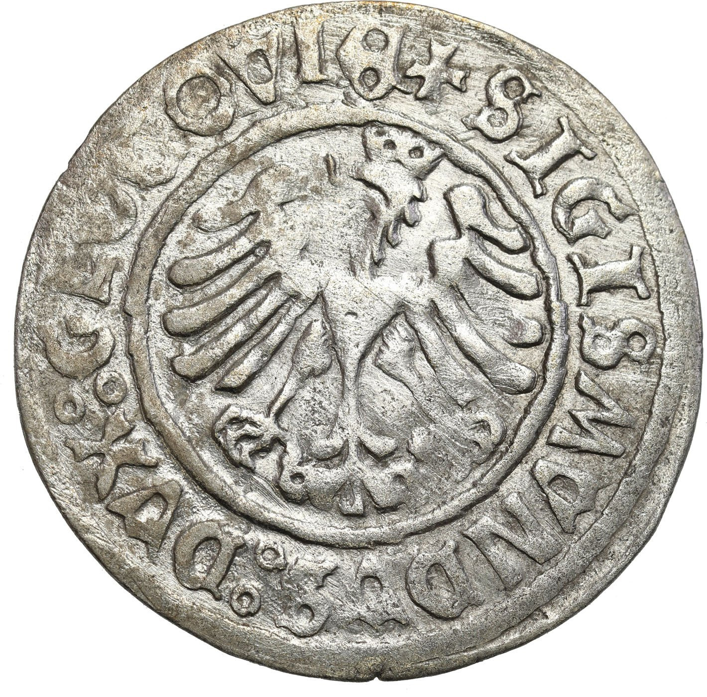 Zygmunt I Stary. Grosz 1506, Głogów – RZADKI