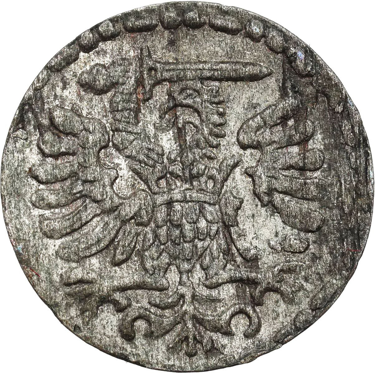Zygmunt III Waza. Denar 1596, Gdańsk