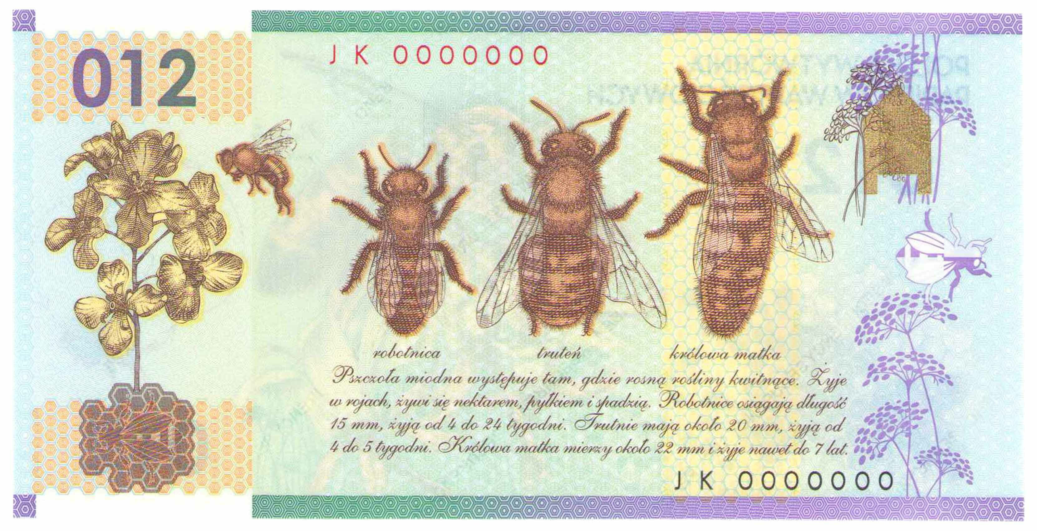 PWPW banknot testowy - 012 - pszczoła miodna