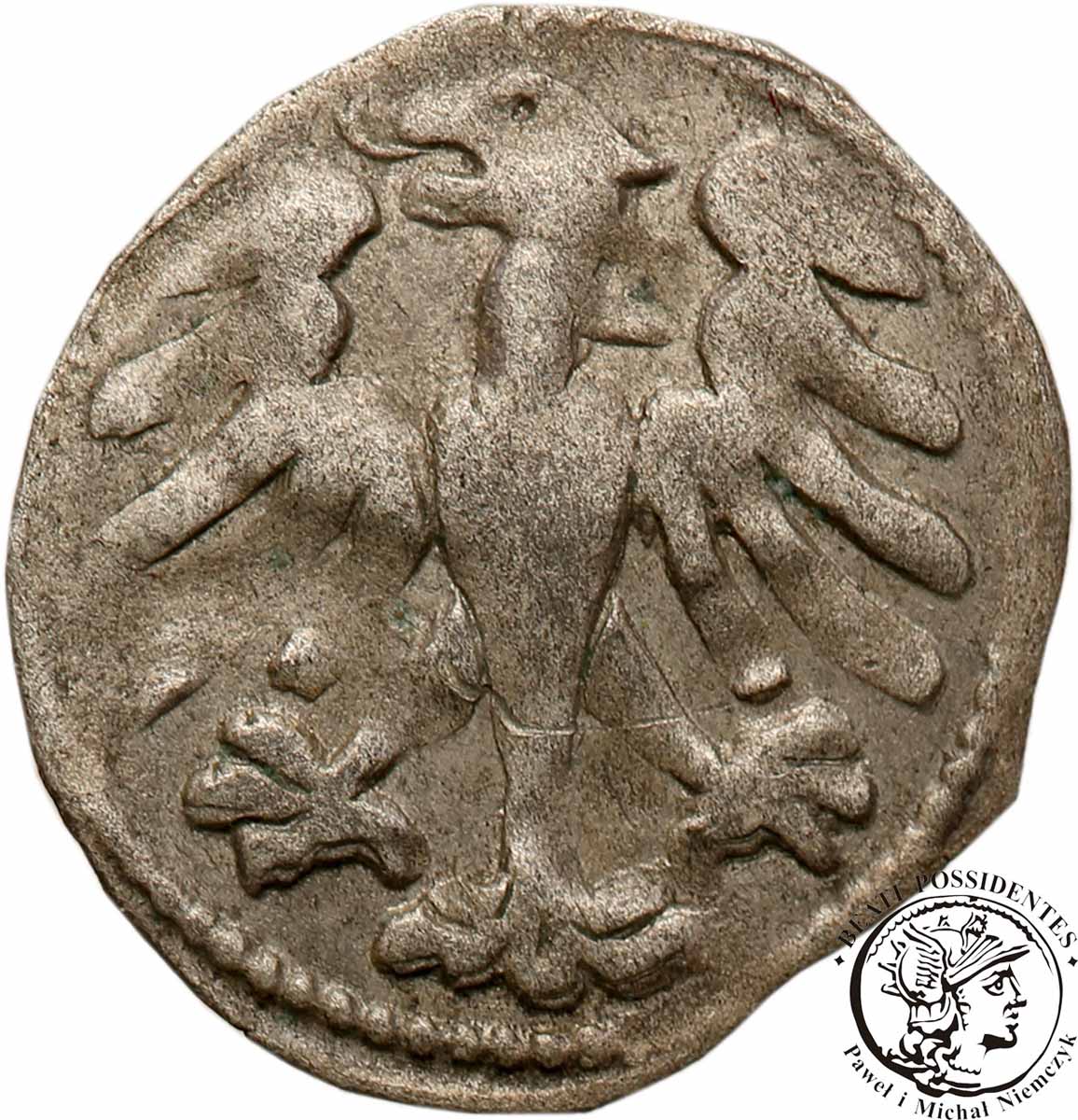 Aleksander Jagiellończyk 1501-1506 denar Wilno st2