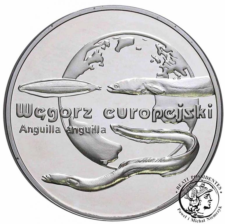 20 złotych 2003 Węgorz Europejski st.L