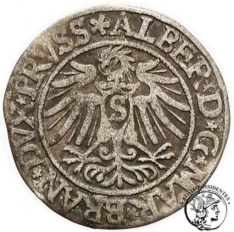 Polska Albrecht grosz lenny pruski 1538 st. 3