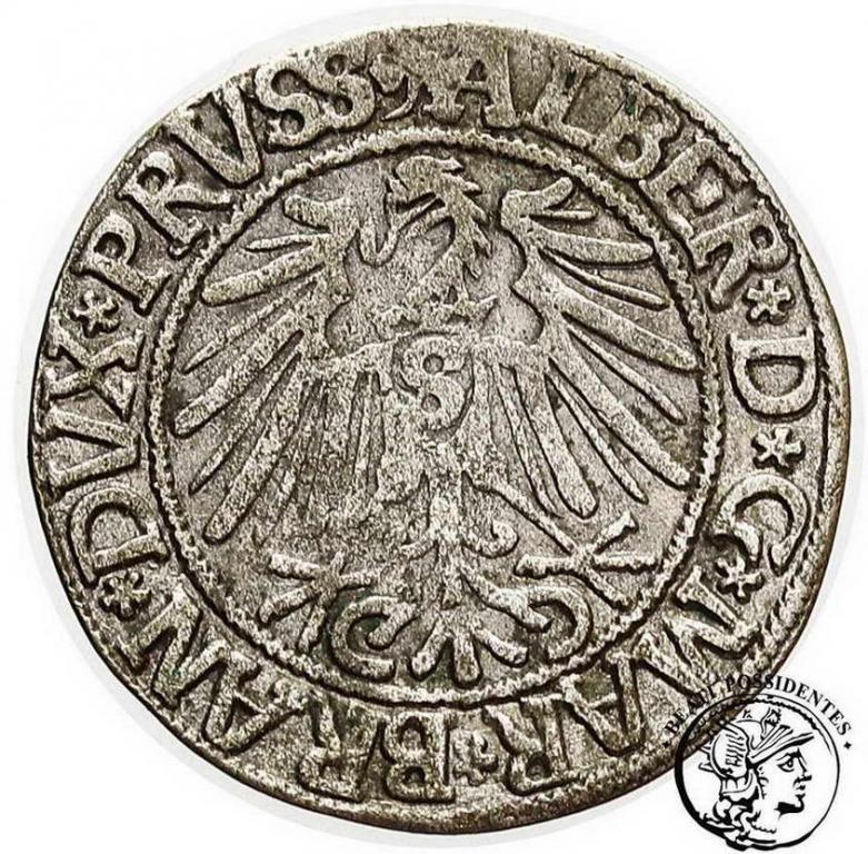 Polska Albrecht grosz lenny pruski 1543 st. 3