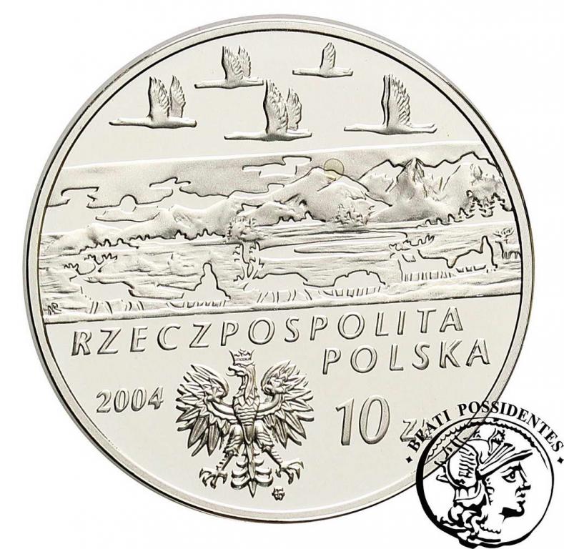 III RP 10 zł 2004 Czekanowski st. L