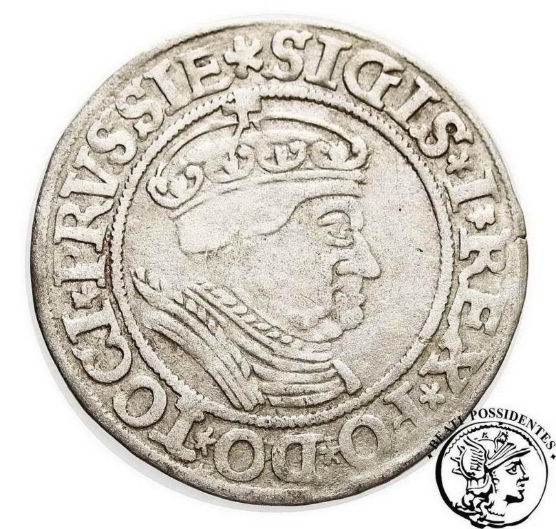 Zygmunt I Stary grosz pruski 1534 st. 3-