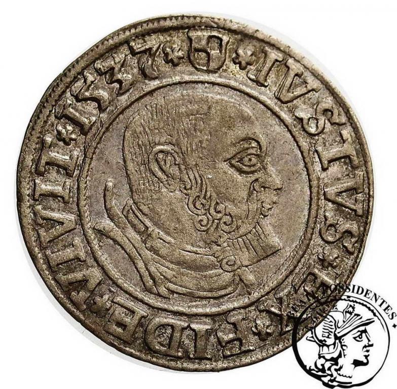 Prusy Lenne grosz pruski 1537 st. 3+