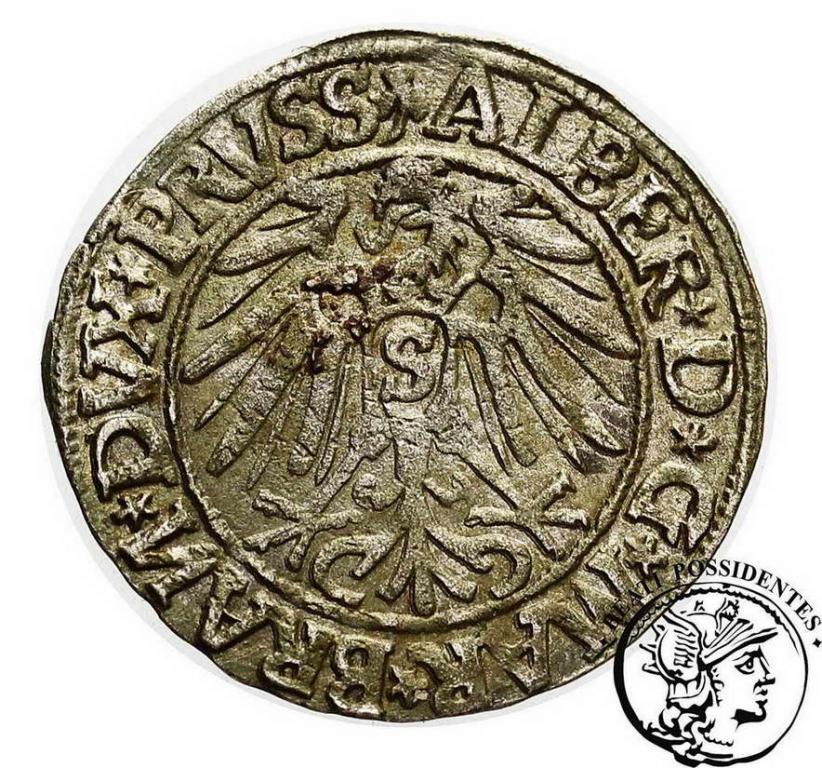 Prusy Lenne grosz pruski 1544 st. 3