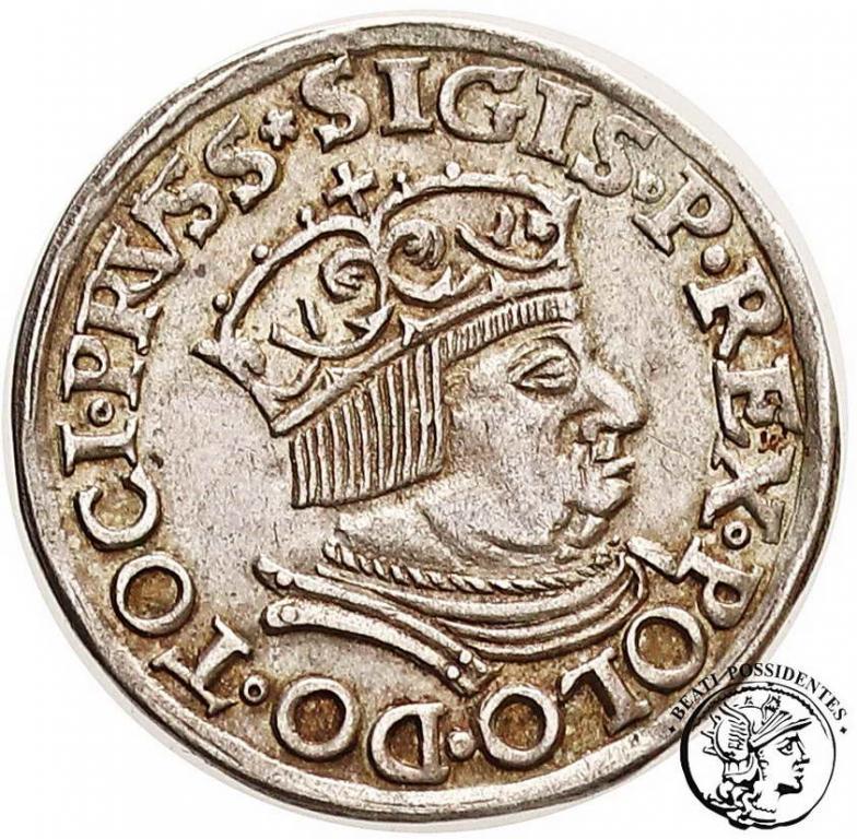 Zygmunt I Stary Gdańsk trojak 1535 st. 2