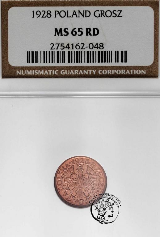 1 grosz 1928 NGC MS 65 RD