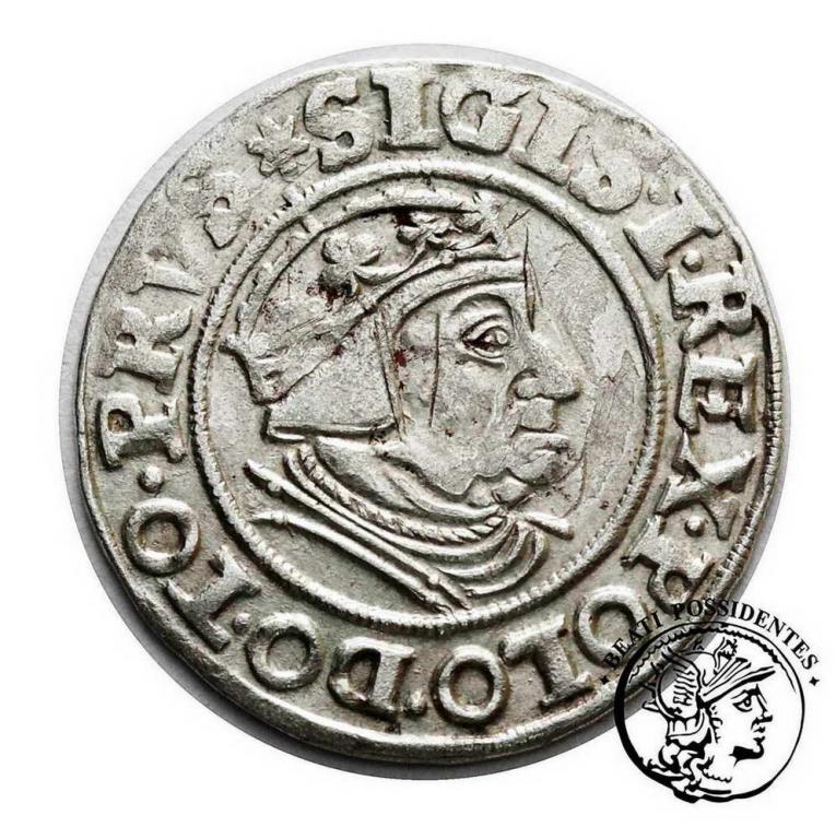 Zygmunt I Stary grosz gdański 1539 st.3