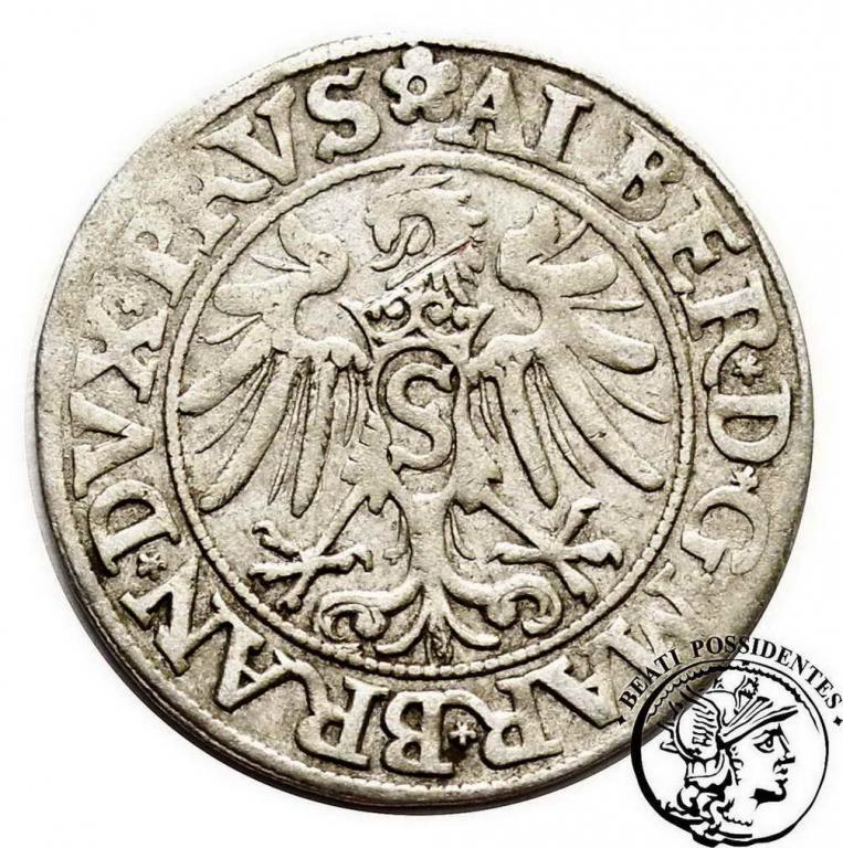 Prusy Lenne Albrecht grosz pruski 1534 st. 3+