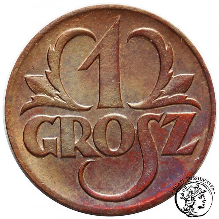 1 grosz 1923 st.2+