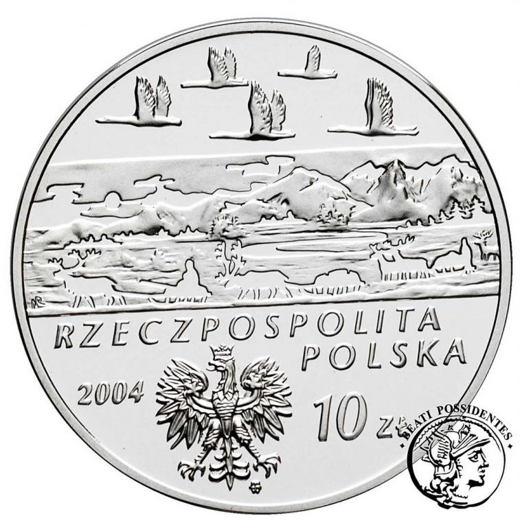 III RP 10 zl 2004 Czekanowski st. L-