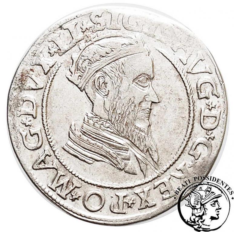 Zygmunt II August czworak litewski 1568 st. 3+