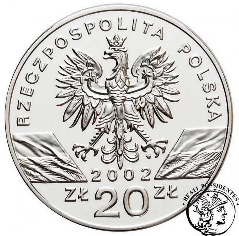 III RP 20 złotych 2002 Żółw st. L