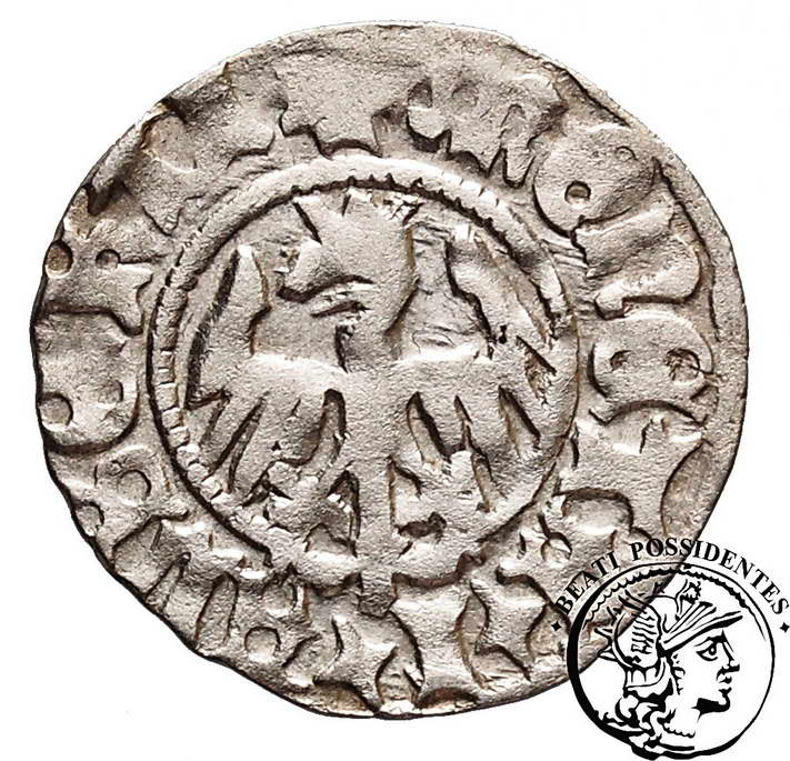 Jan Olbracht półgrosz koronny 1492-1501 st. 3-