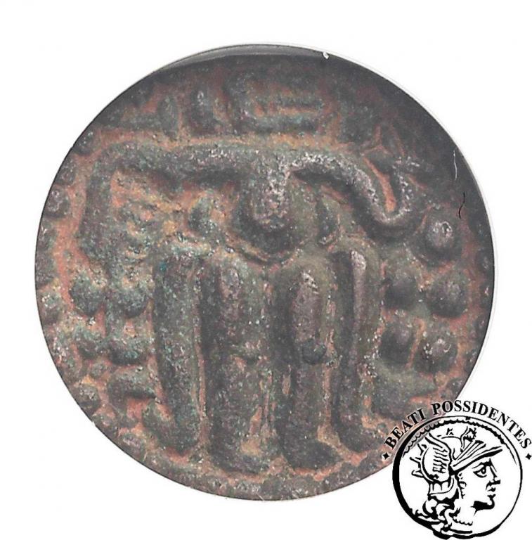 Cejlon Sri Lanka starożytna moneta GCN VF 35