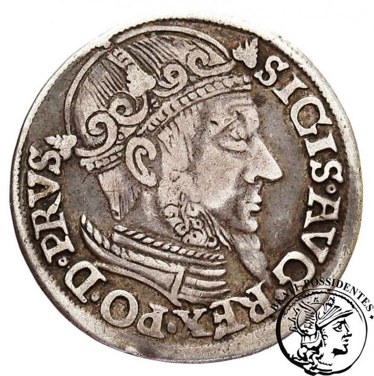 Zygmunt II August trojak Gdańsk 1557 st.3+