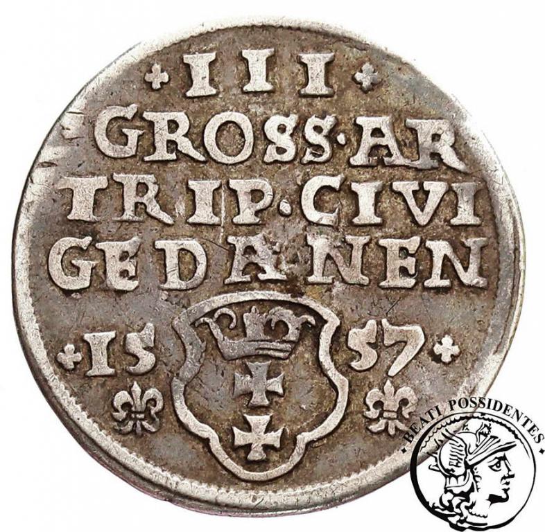 Zygmunt II August trojak Gdańsk 1557 st.3+