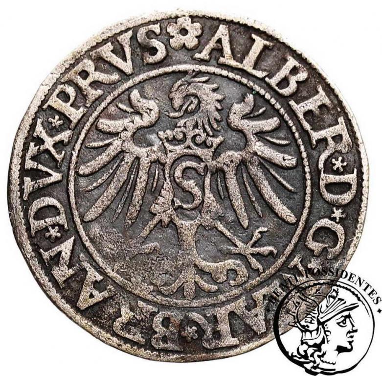 Albrecht Pusy Lenne grosz 1535 Królewiec st.3-