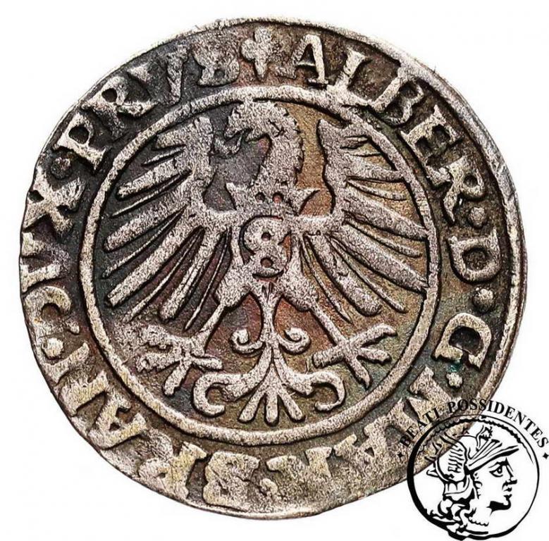 Albrecht Pusy Lenne grosz 1546 Królewiec st.3-