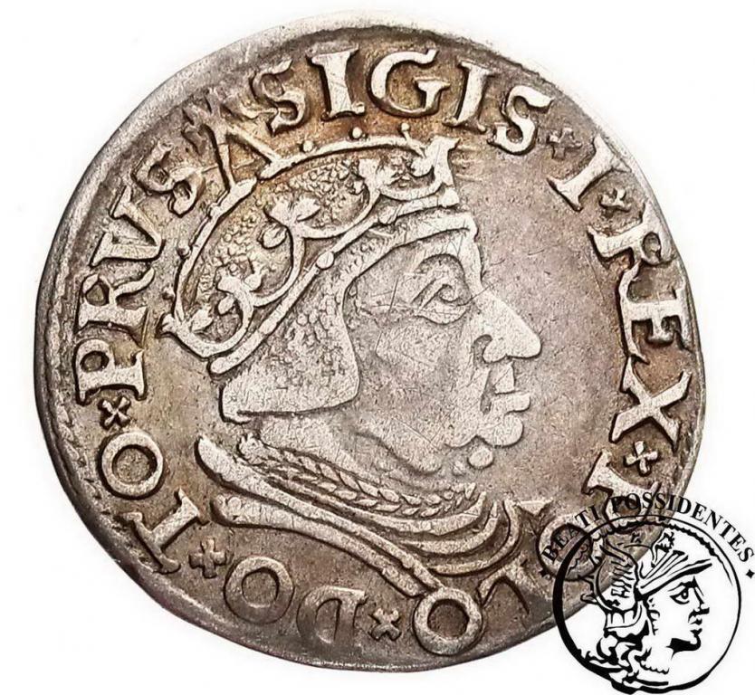 Zygmunt I Stary trojak 1537 Gdańsk st. 3+