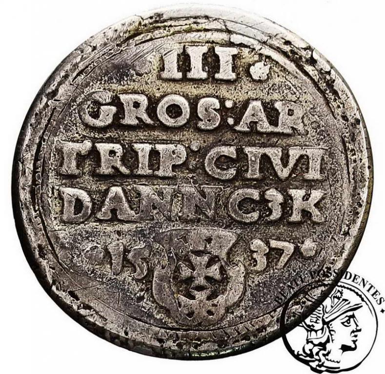 Zygmunt I Stary trojak 1537 Gdańsk st. 5