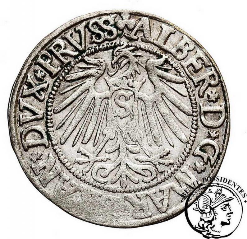 Prusy Lenne Albrecht grosz 1542 Królewiec st.3+