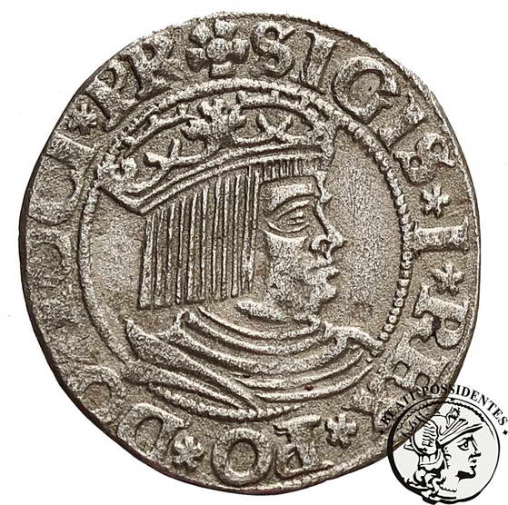 Polska Zygmunt I Stary grosz 1532 Gdańsk st. 3-