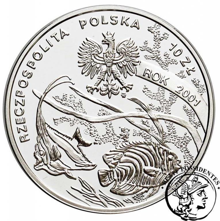 Polska III RP 10 złotych 2001 M. Siedlecki st. L