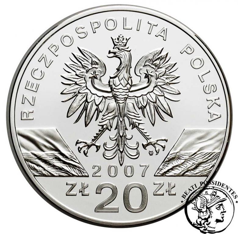 Polska III RP 20 złotych 2007 Foka Szara st. L
