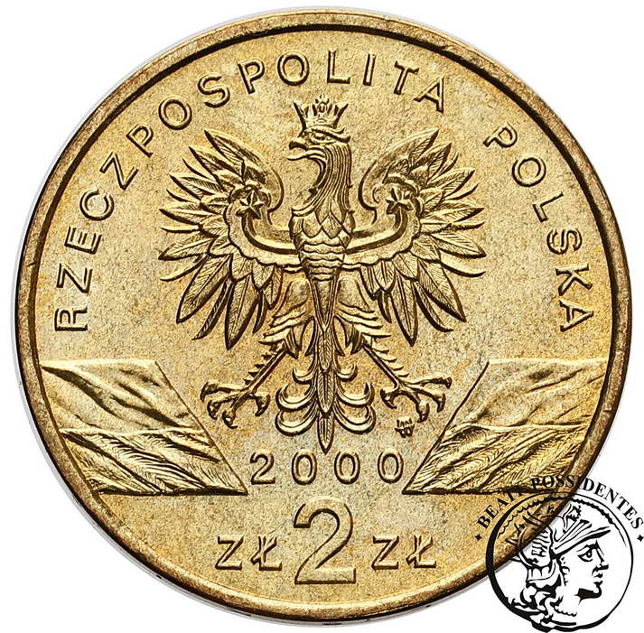 Polska III RP 2 złote dudek 2000 st. 1/2+