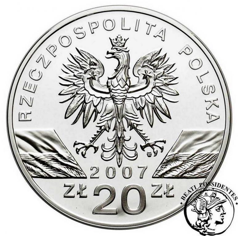 Polska III RP 20 złotych 2007 Foka Szara st. L