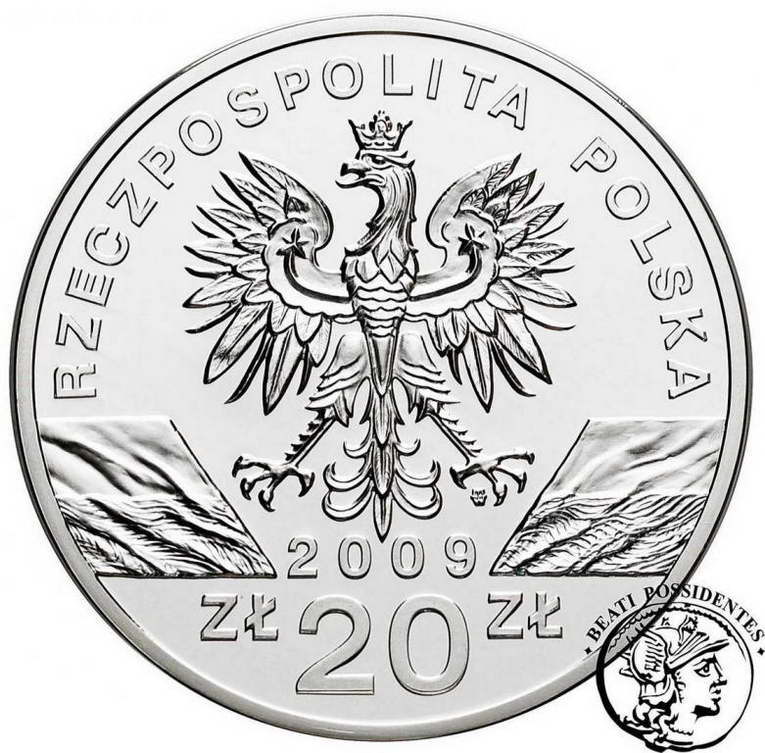 Polska III RP 20 złotych 2009 Jaszczurka st. L