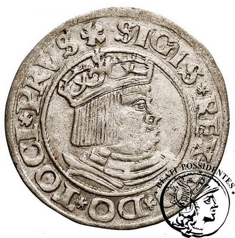 Zygmunt I Stary grosz gdański 1530 st. 3+