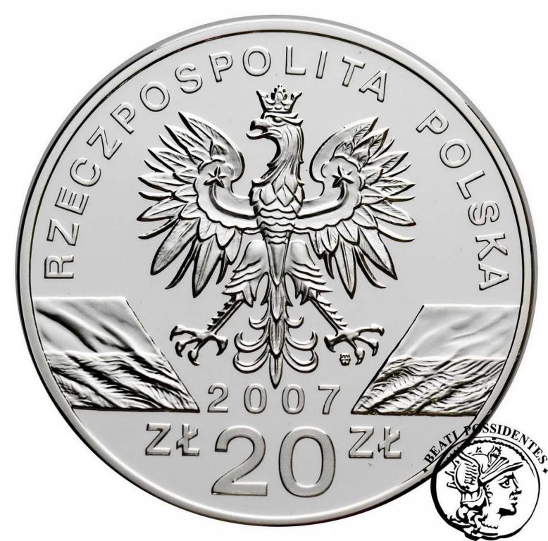 Polska III RP 20 złotych 2007 Foka Szara st. L  P