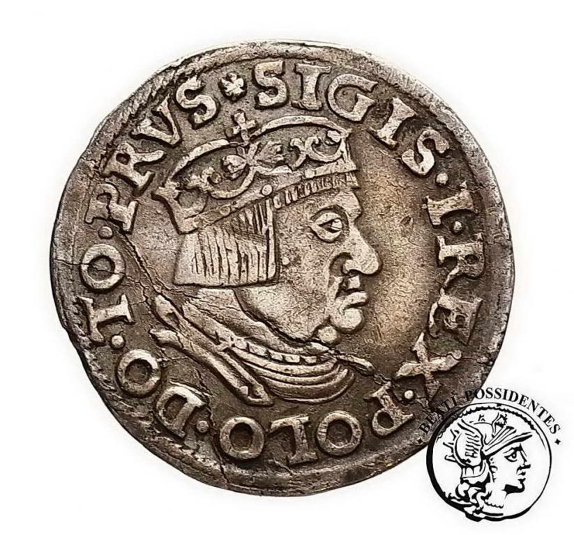 Zygmunt I Stary trojak 1537 Gdańsk st. 3