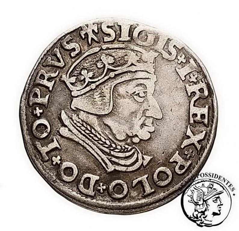Zygmunt I Stary trojak 1538 Gdańsk st. 3