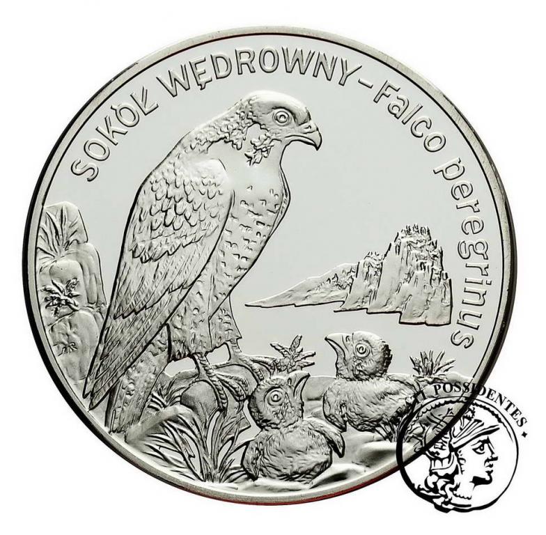 III RP 20 złotych 2008 Sokół wędrowny st.L