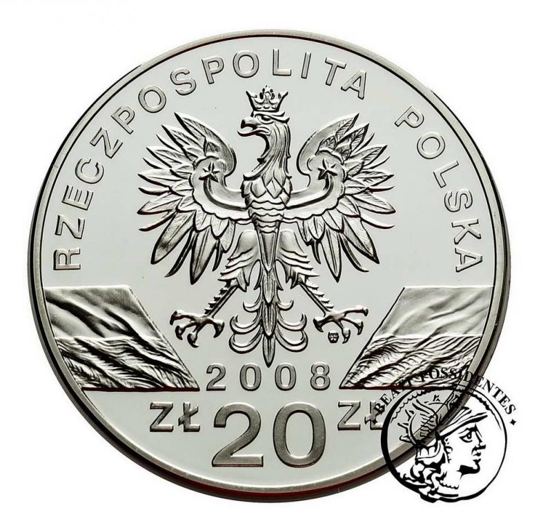III RP 20 złotych 2008 Sokół wędrowny st.L