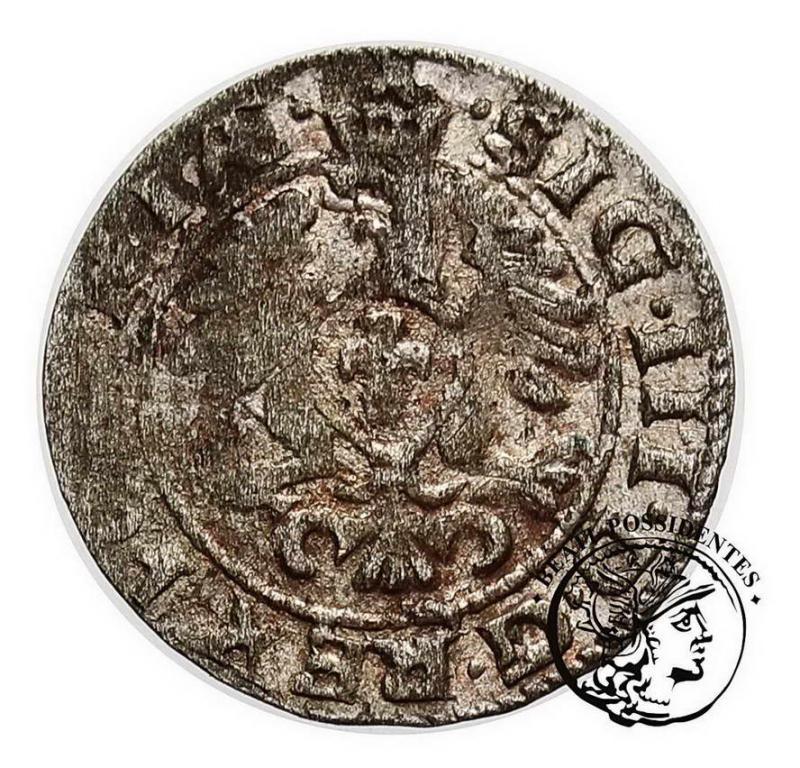 Zygmunt III Waza szeląg kor 1613 Kraków st.3