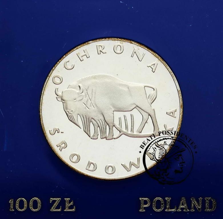 Polska PRL 100 złotych 1977 Żubr st.L