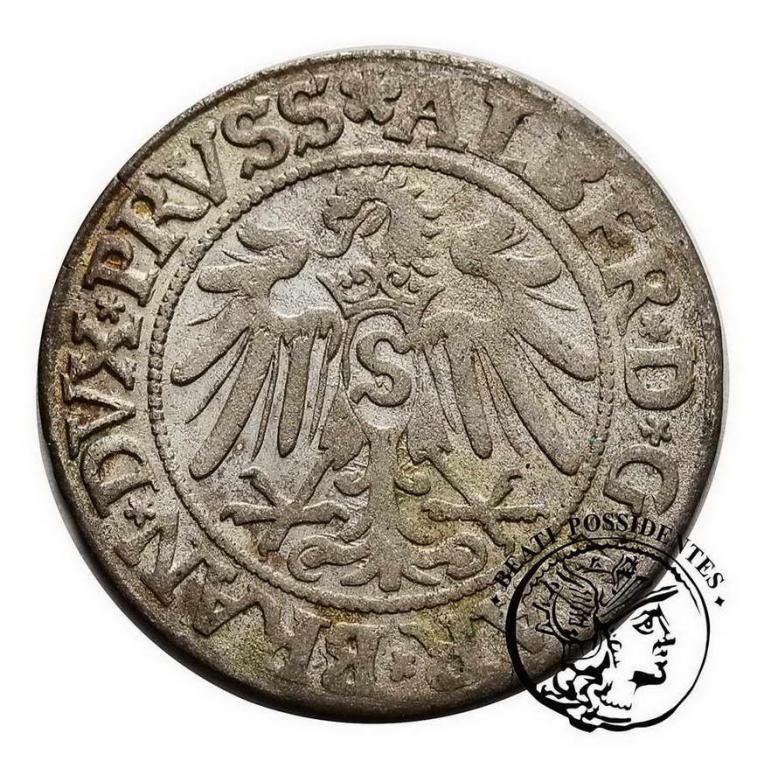 Albrecht Hohenzollern grosz pruski 1533 st.3-