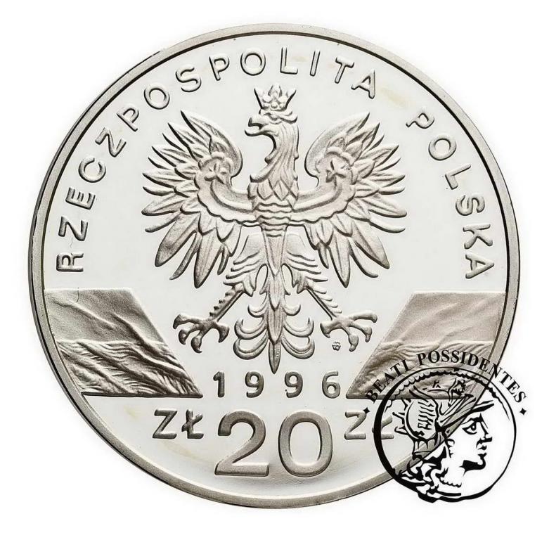 Polska III RP 20 złotych 1996 Jeż st.L