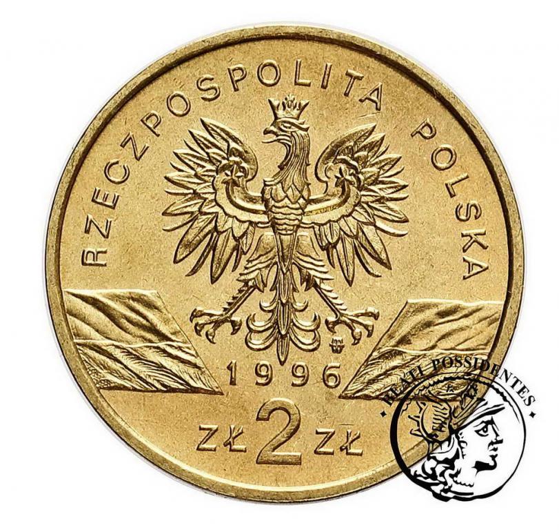 Polska 2 zł 1996 Jeż st.1-