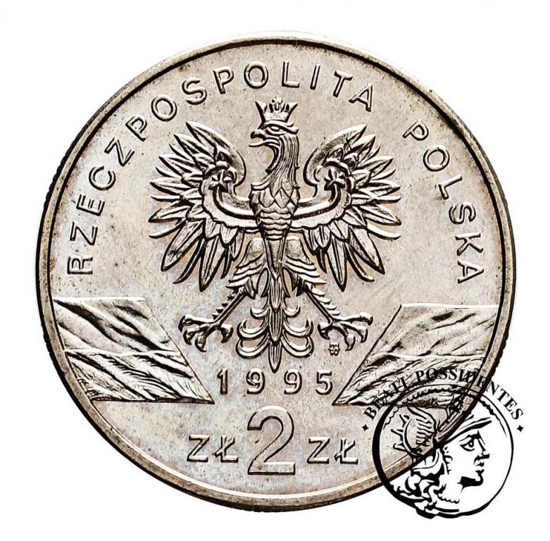 Polska 2 złote 1995 Sum st.1-