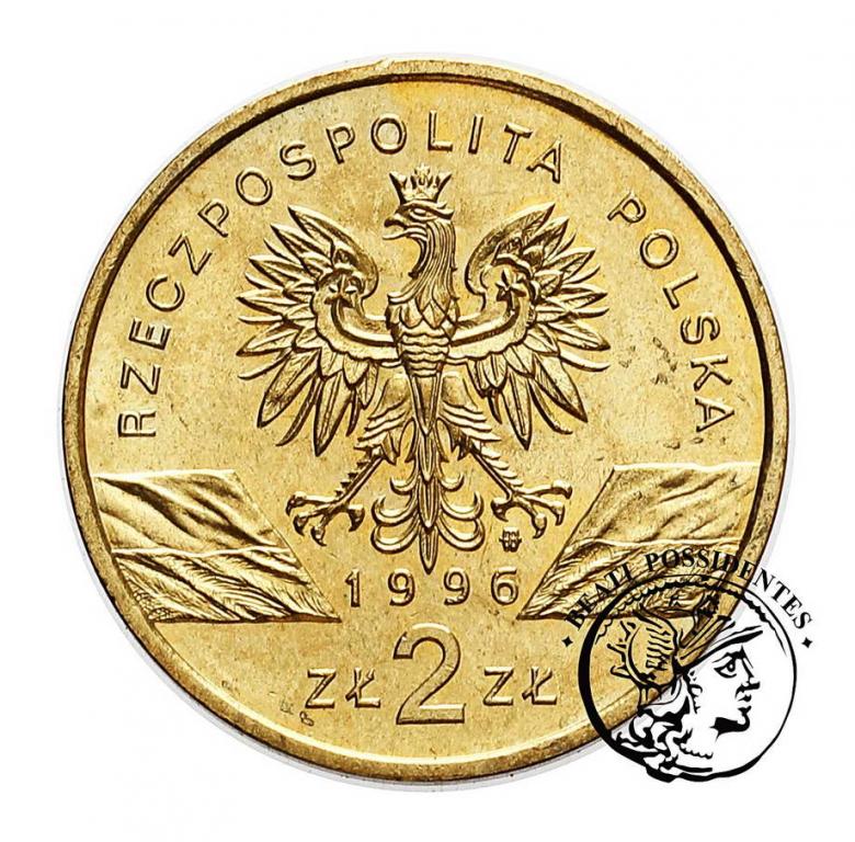 Polska 2 złote 1996 Jeż st.1-