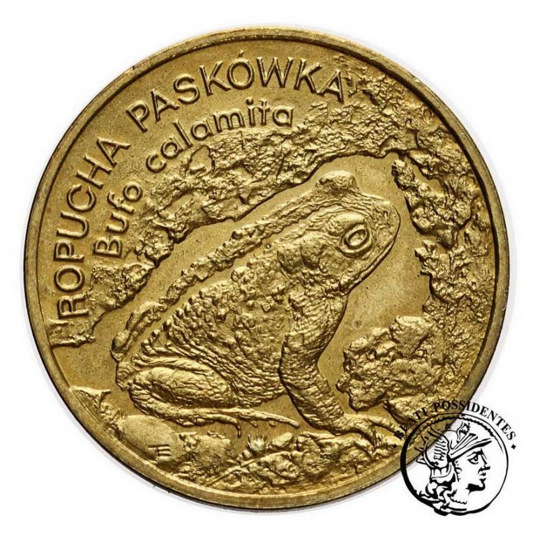 Polska III RP 2 złote 1998 Ropucha Paskówka st1-